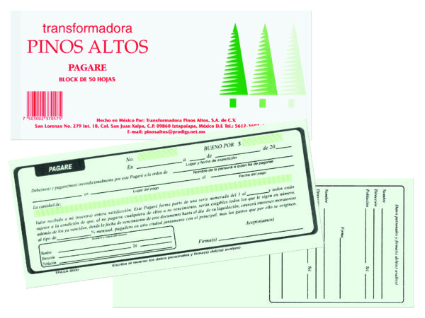 Pagare Pinos Altos 50hj c/2block